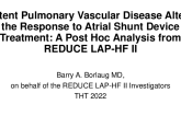 Subgroup Analyses of the REDUCE LAP-HF II Study of the Corvia Atrial Shunt
