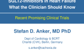 SGLT2 Inhibitors:  What the Clinician Should Know