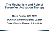 Mechanism of Action of Baroreflex Activation Therapy
