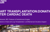 DCD - Donation After Cadiac Death