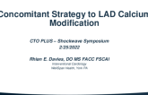 Concomitant Strategy to LAD and Diagonal Calcium Modification