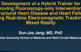 Development of a Hybrid Trainer For Improving Fluoroscopy-Only Interventions in Structural Heart Disease and Heart Failure Using Real-Time Electromagnetic Tracking in Mixed Reality
