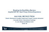 Breaking the Small-Bore Barriers: Impella ECP 9Fr Heart Pump Clinical Experience