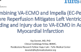 Combining VA-ECMO and Impella (EC-Pella) Before Reperfusion Mitigates Left Ventricular Loading and Injury Due to VA-ECMO In Acute Myocardial Infarction
