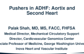Pushers:  Aortix and Second Heart
