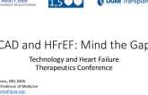 CAD and HFrEF: Mind the Gap