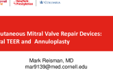 Percutanous Mitral Valve Repair Devices (Mitral TEER vs Annuloplasty/Chordal Suspension)