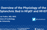 Overview of the physiology of the splanchnic bed in HFpEF and HFrEF