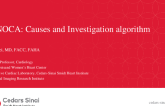 MINOCA: Causes and Investigation Algorithm