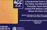 A Randomized Trial To Confirm The Safety And Effectiveness Of Chocolate Touch Paclitaxel Coated PTA Balloon Catheter In Above The Knee Lesions