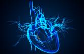 Revascularization’s Benefits in HFrEF Linked to Gains in LV Function