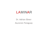 LAMINAR
