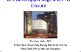 LAA Closure, PFO Closure, and Other Novel Structural Heart Procedures