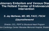 Pulmonary Embolism and Venous Disease: The Hottest Frontier of Endovascular Intervention