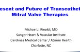 Present and Future of Transcatheter Mitral Valve Therapies