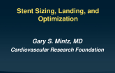 Stent sizing, Landing and Optimization