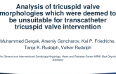 Analysis of tricuspid valve morphologies which were deemed to be unsuitable for transcatheter tricuspid valve treatment