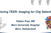 Tailoring TEER: Imaging for Clip Selection