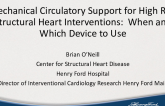 Mechanical Circulatory Support for High-Risk Structural Heart Interventions: When and Which Device to Use