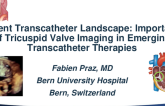 Current Transcatheter Landscape: Importance of Tricuspid Valve Imaging in Emerging Transcatheter Therapies