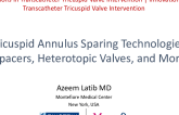 Tricuspid Annulus Sparing Technologies: Spacers, Heterotopic Valves, and More