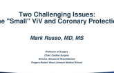 Two Challenging Issues: The "Small" ViV and Coronary Protection