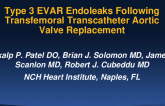 Synchronous Type 3 EVAR Endoleaks Following Transfemoral Transcatheter Aortic Valve Replacement