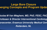 Large Bore Closure: Emerging Concepts and Program Updates