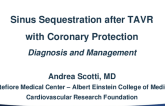 Sinus Sequestration After TAVR With Coronary Protection: Diagnosis and Management