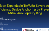 Balloon Expandable TAVR for Severe Aortic Insufficiency: Device Anchoring by Pre-existent Mitral Annuloplasty Ring