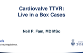 Cardiovalve TTVR System; a Novel Treatment Option for Patients with Tricuspid Regurgitation (Live in a Box Case)