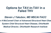 Options for TAV-in-TAV in a failed THV