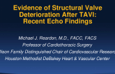 Evidence of Structural Valve Deterioration After TAVI: Recent Echo Findings