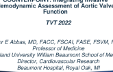 COUNTERPOINT: Integrating Invasive Hemodynamic Assessments of Aortic Valve Function