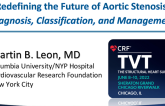 Redefining the Future of Aortic Stenosis: Diagnosis, Classification, and Management