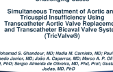Simultaneous treatment of aortic and tricuspid insufficiency using Transcatheter Aortic Valve Replacement and Transcatheter Bicaval Valve System (TricValve®)