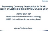 Preventing Coronary Obstruction in TAVR: Protection or Leaflet Splitting (BASILICA and SureCut)