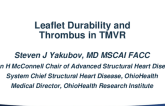 Leaflet Durability and Thrombogenicity in TMVR Devices: The Elephant in the Room
