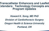 Transcatheter Enhancers and Leaflet Extenders: Technology Concepts and Program Updates