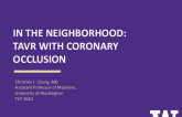 Case 3: In the Neighborhood: TAVR with Coronary Occlusion