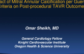 Quantification of Mitral Annular Calcification per Guerrero Criteria and Impact on Post-TAVR Outcomes