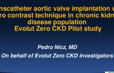 Transcatheter aortic valve implantation with zero contrast technique in chronic kidney disease population -  Evolut - zero CKD Pilot study