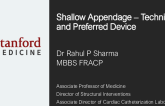 Case 2: Shallow Appendage – Technique and Preferred Device(s)