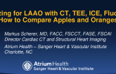 Sizing for LAAO- CT, TEE, Fluoro or ICE, How to Compare Apples and Oranges