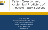 Patient Selection and Anatomical Predictors of Tricuspid-TEER Success
