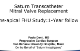 InnovHeart: TA FIH Results (Saturn) and Future Generation TS System