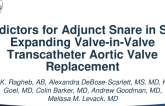 Predictors for Adjunct Snare in Self-Expanding Valve-in-Valve Transcatheter Aortic Valve Replacement
