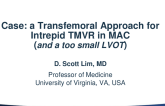 A Transseptal Approach to the Treatment of Mitral Regurgitation
