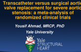 Transcatheter versus surgical aortic valve replacement for severe aortic stenosis: a meta-analysis of randomized clinical trials     