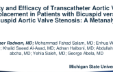 Safety and Efficacy of Transcatheter Aortic Valve Replacement in Patients with Bicuspid versus Tricuspid Aortic Valve Stenosis: A Metanalysis